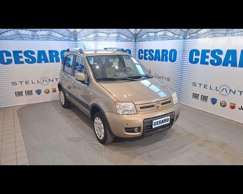 Usata Fiat Panda 4x4 Climbing 69 CV (50 kW) 2010 Beige spumeggiante (metallizza Utilitaria
