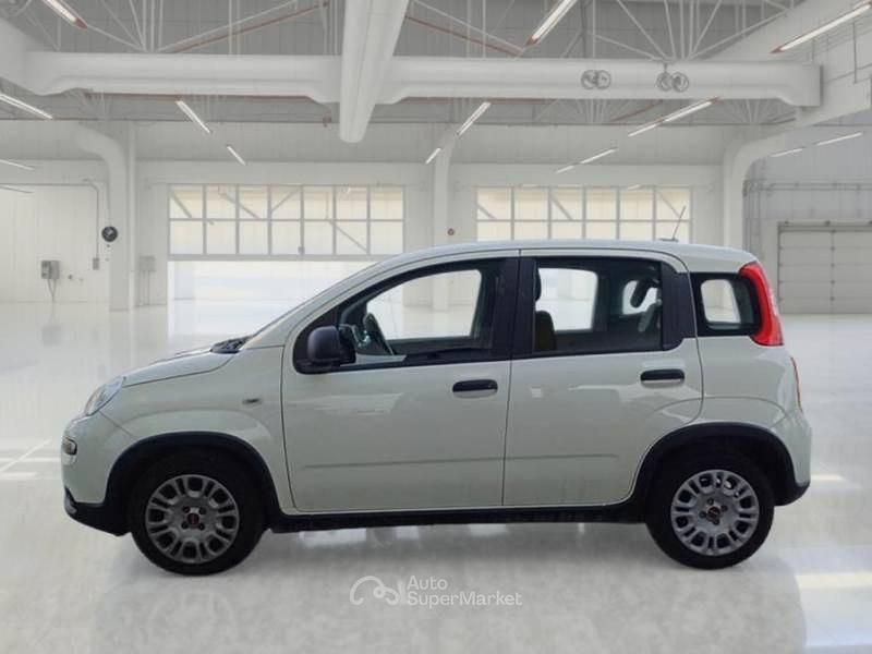 Usata Fiat Panda S 69 CV (50 kW) 2024 Utilitaria