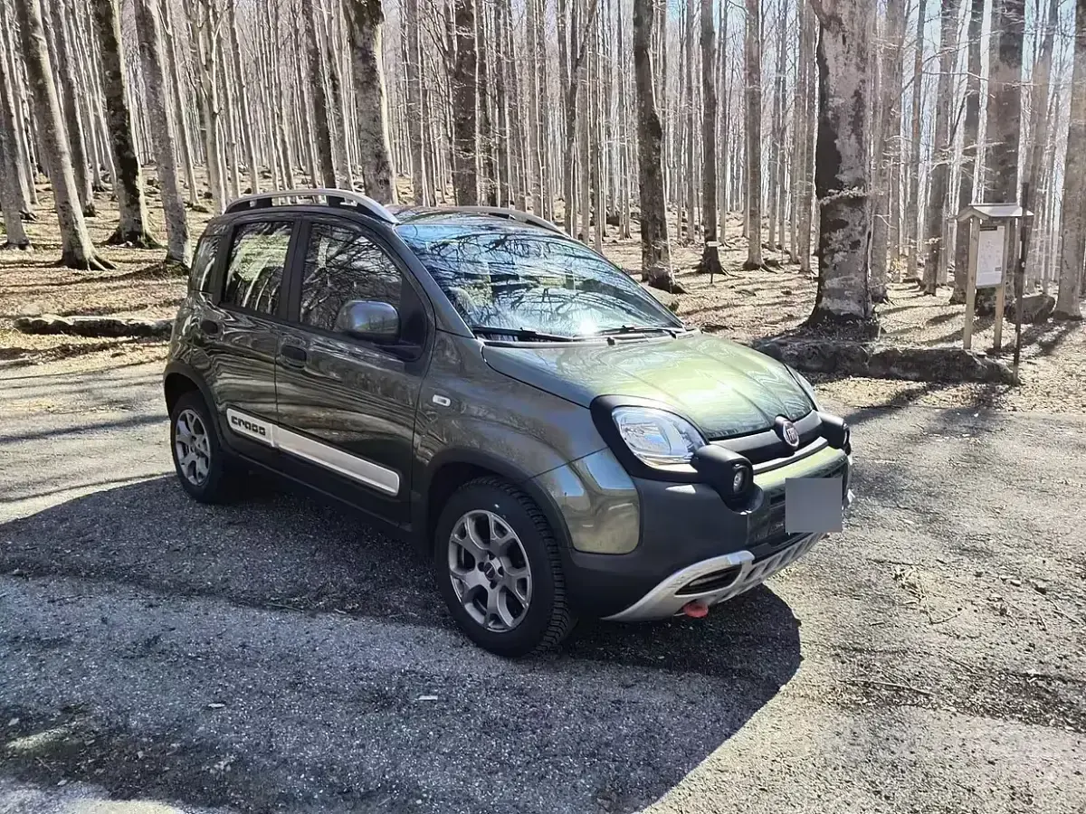 Usata Fiat Panda Cross Cross 95 CV (69 kW) 2017 Utilitaria