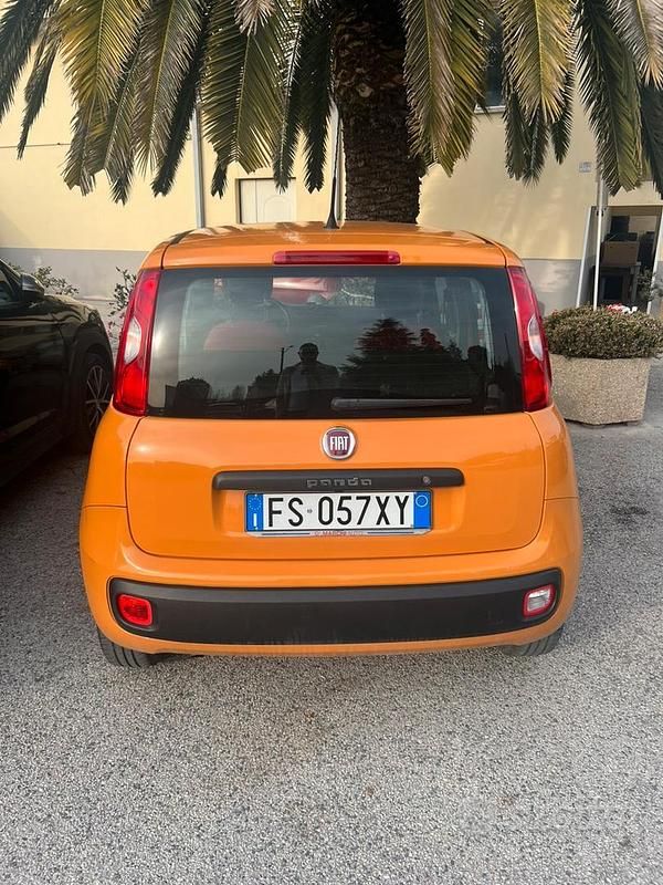 Usata Fiat Panda Pop 69 CV (50 kW) 2019 Giallo Utilitaria