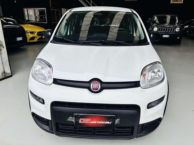 Usata Fiat Panda S 69 CV (50 kW) 2024 Bianco Utilitaria