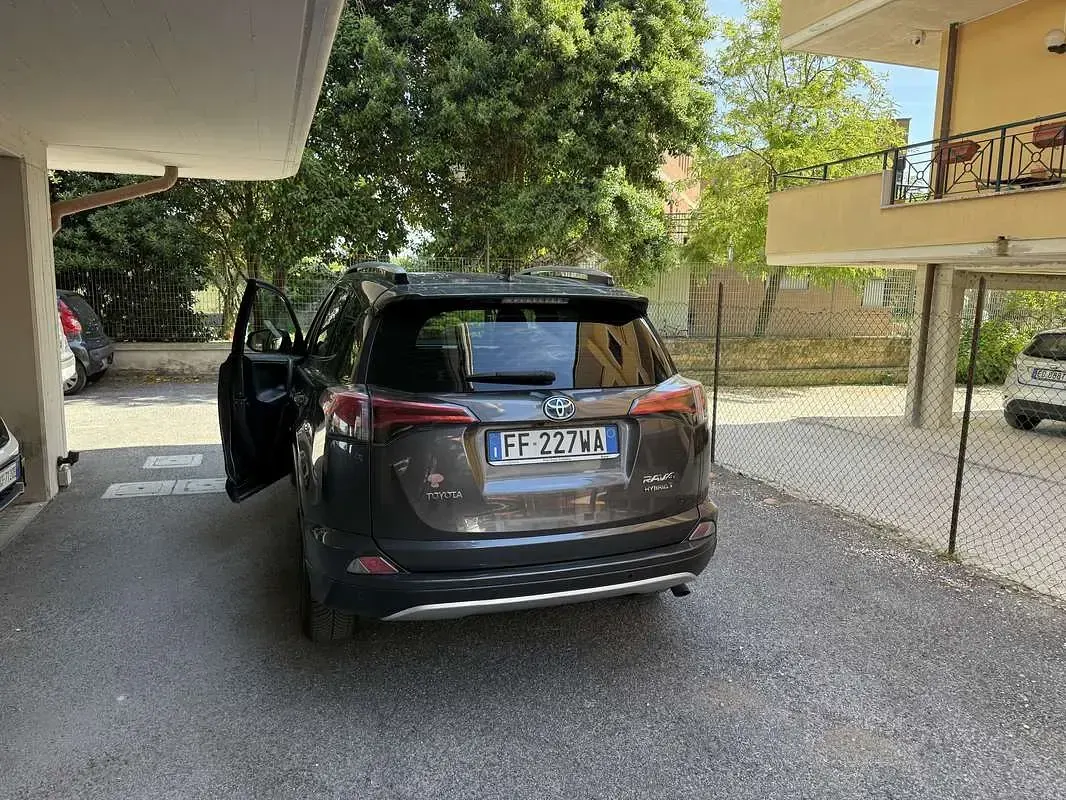 Usata Toyota RAV4 Hybrid Active 155 CV (114 kW) 2016 SUV