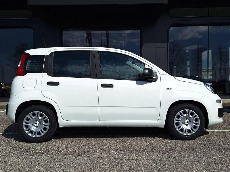 Nuova Fiat Panda Icon 65 CV (47 kW) 2026 Bianco Utilitaria