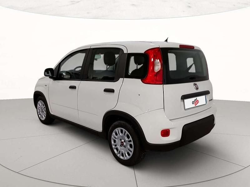 Usata Fiat Panda S 70 CV (51 kW) 2024 Bianco Utilitaria