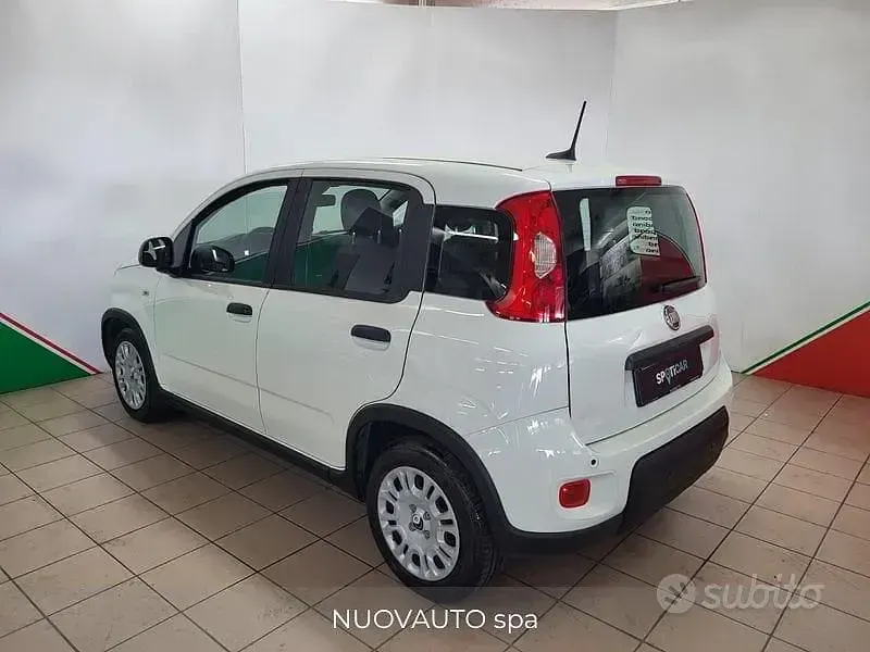 Usata Fiat Panda S 70 CV (51 kW) 2024 Bianco Utilitaria