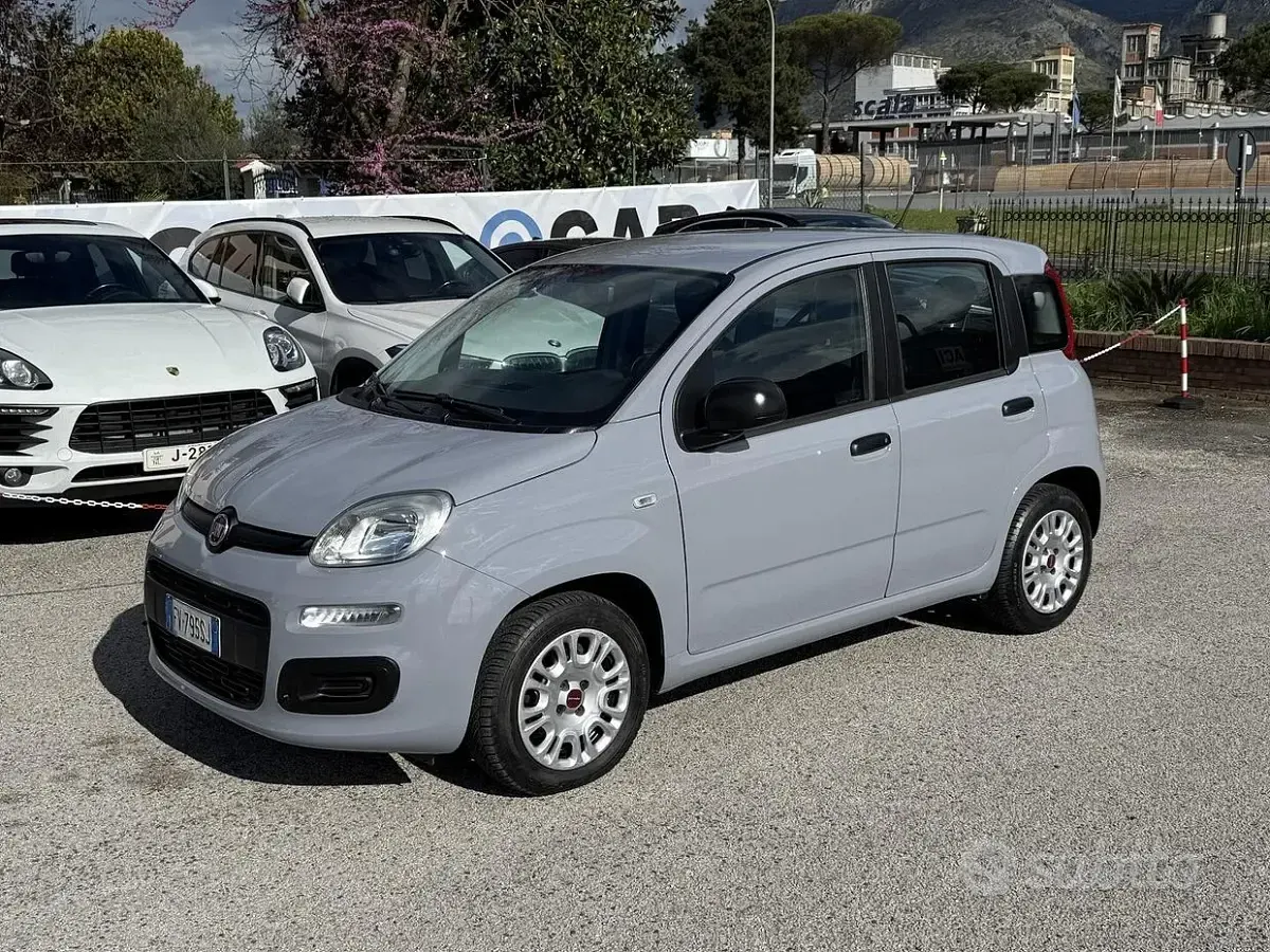 Usata Fiat Panda 69 CV (50 kW) 2019 Grigio Utilitaria