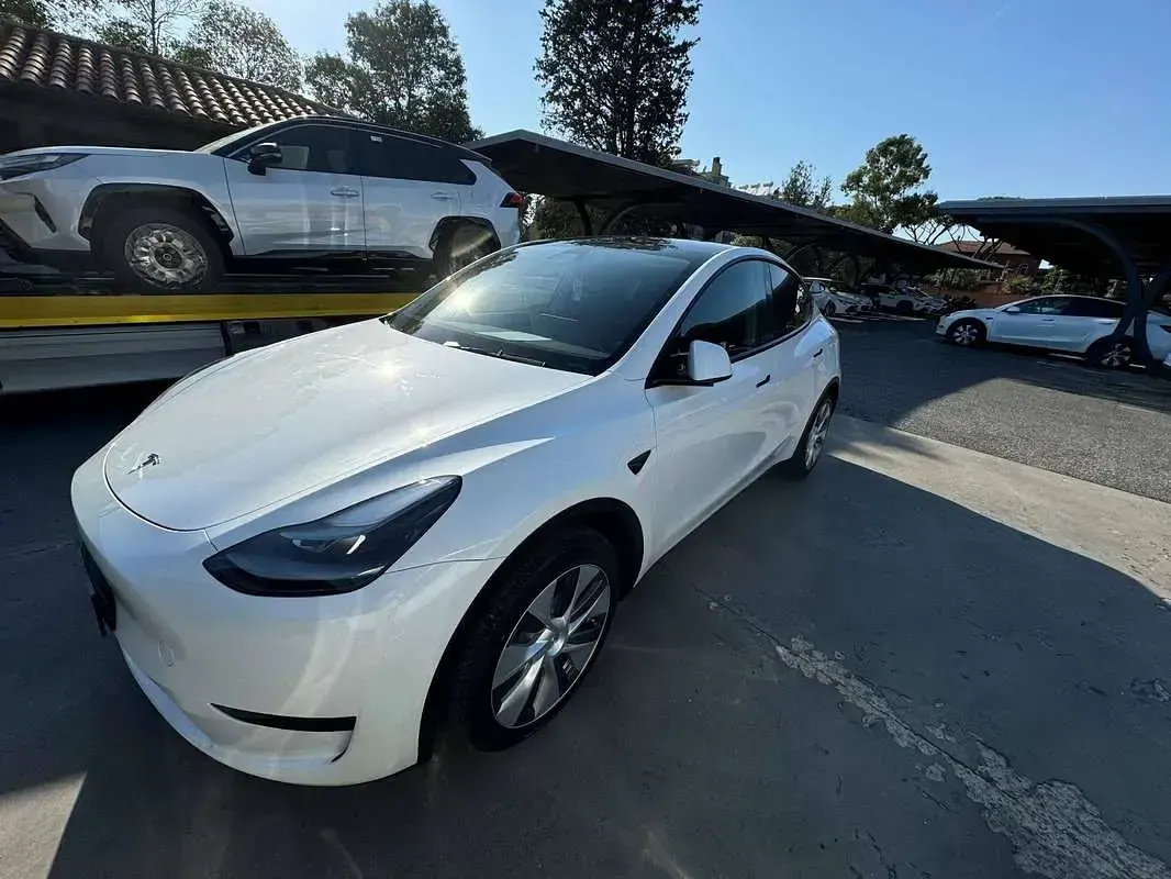 Usata Tesla Model Y RWD 114 kW (155 CV) 2024 Bianco SUV