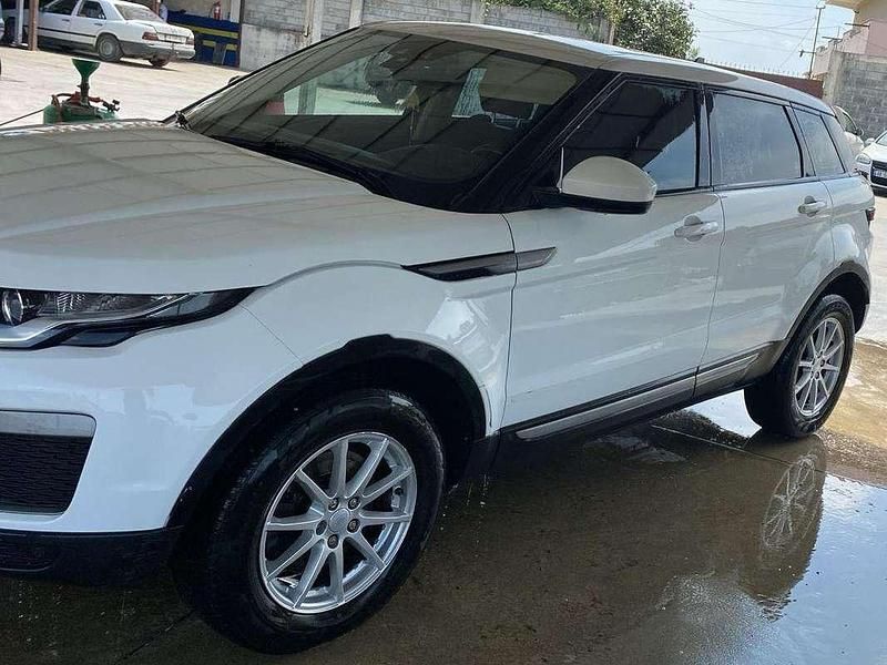Usata Land Rover Range Rover evoque SE 150 CV (110 kW) 2016 Bianco SUV
