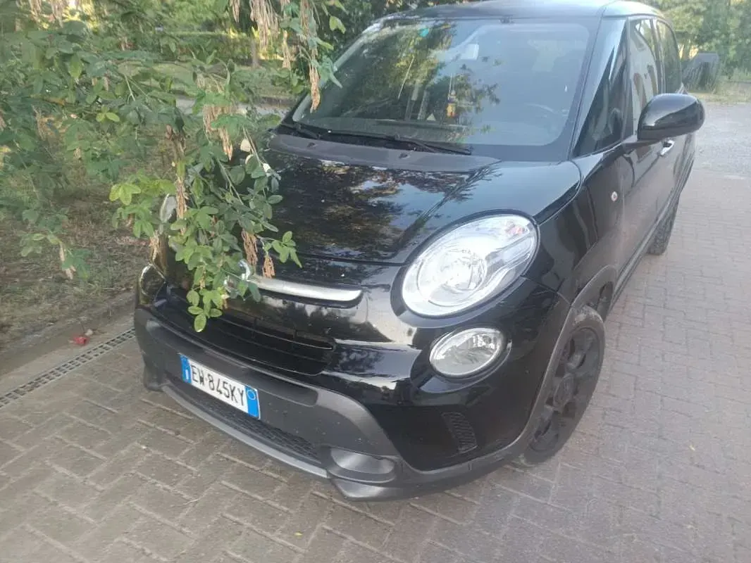 Usata Fiat 500L Trekking 95 CV (69 kW) 2015 Monovolume