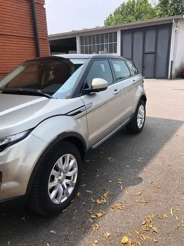 Usata Land Rover Range Rover evoque Pure 150 CV (110 kW) 2014 Oro SUV