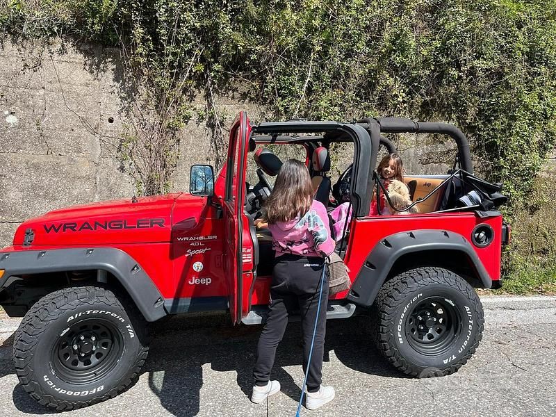 Usata Jeep Wrangler 2001 Rosso SUV