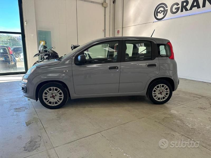 Usata Fiat Panda Easy 70 CV (51 kW) 2021 Grigio Berlina