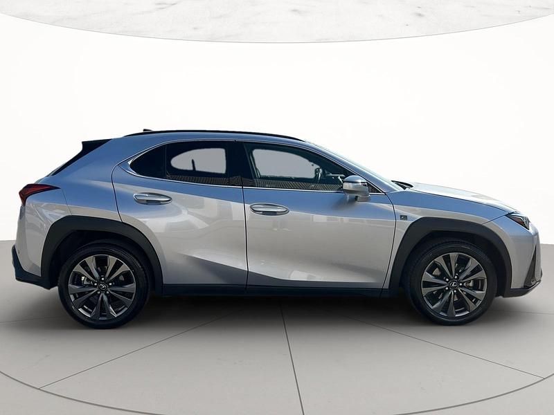 Usata Lexus UX 300h Sport Line 2024 SUV