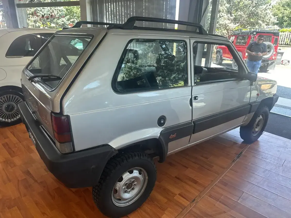 Usata Fiat Panda 4x4 54 CV (39 kW) 1999 Argento Utilitaria