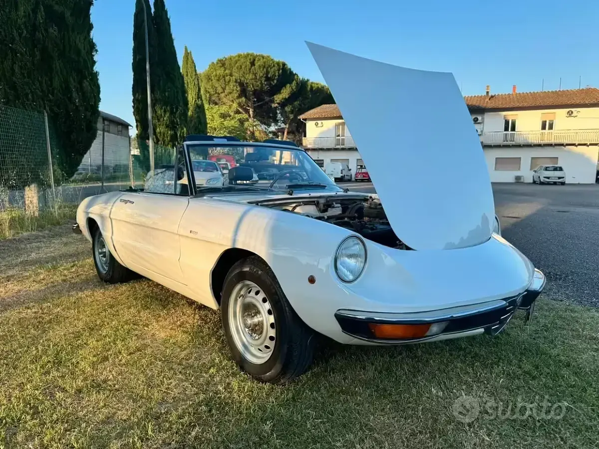 Usata Alfa Romeo GT Junior 88 CV (64 kW) 1970 Cabrio