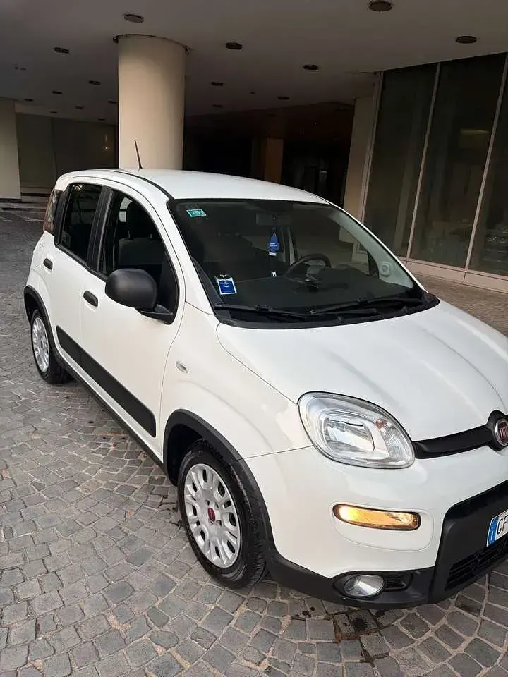 Usata Fiat Panda City Life 69 CV (50 kW) 2021 Other Utilitaria