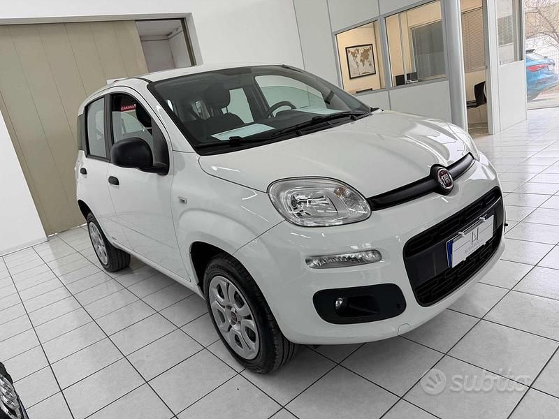 Usata Fiat Panda Easy 84 CV (61 kW) 2019 Bianco Utilitaria