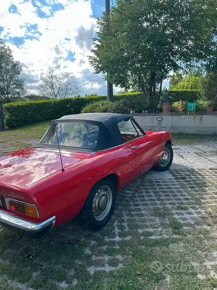 Usata Alfa Romeo Spider 1970 Rosso Cabrio