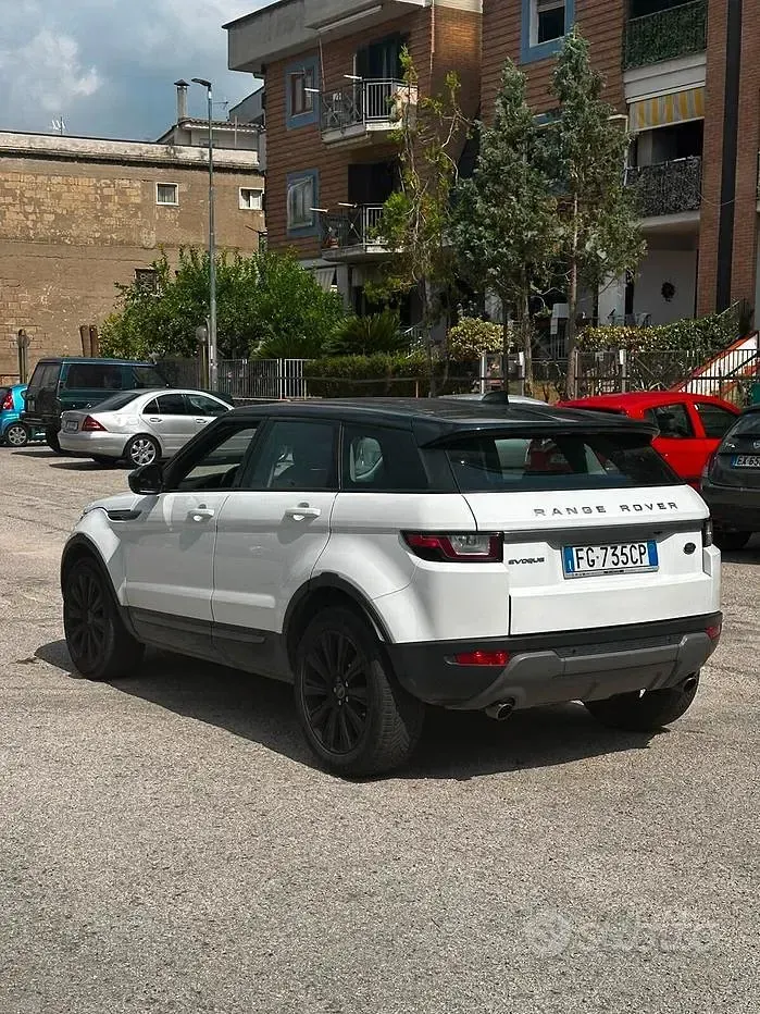 Usata Land Rover Range Rover evoque SE Dynamic 150 CV (110 kW) 2017 Bianco SUV