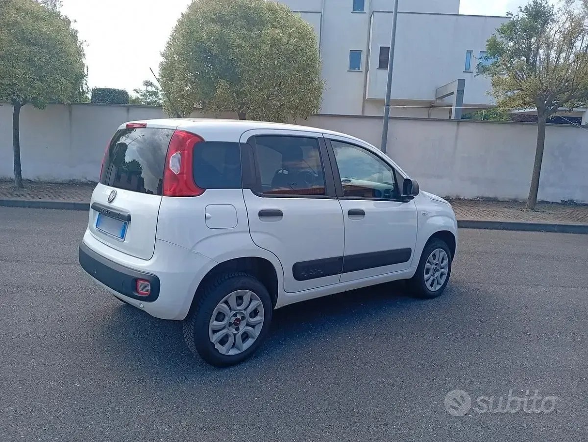 Usata Fiat Panda 4x4 85 CV (62 kW) 2019 Bianco Utilitaria