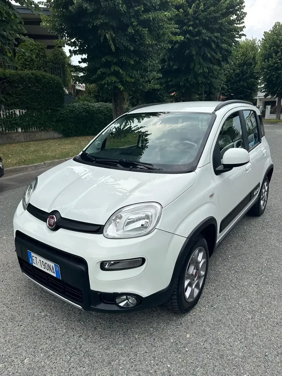 Usata Fiat Panda 4x4 S 75 CV (55 kW) 2014 Bianco Utilitaria