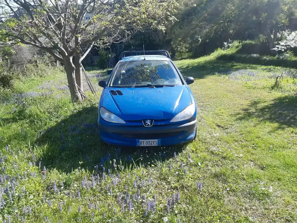 Usata Peugeot 206 68 CV (50 kW) 2002 Furgone