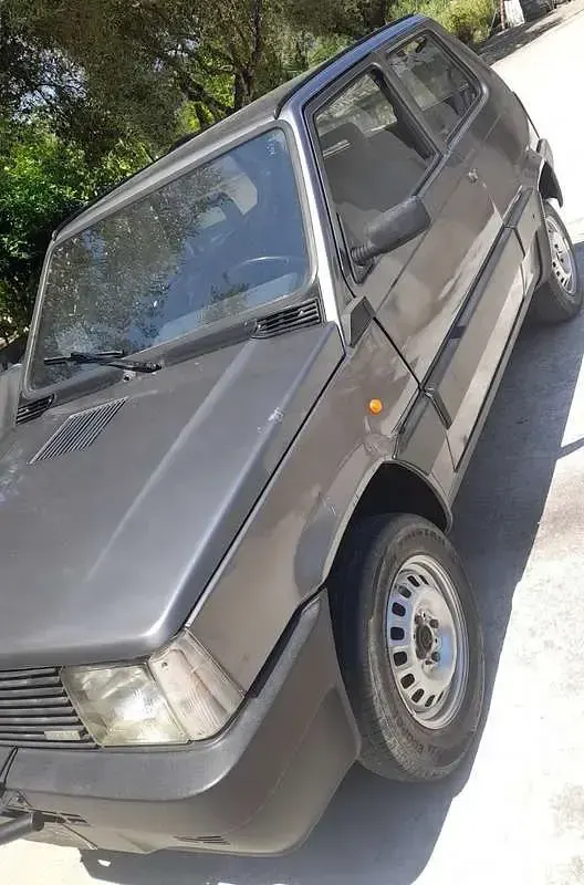 Usata Fiat Panda 4x4 50 CV (36 kW) 1989 Grigio Utilitaria