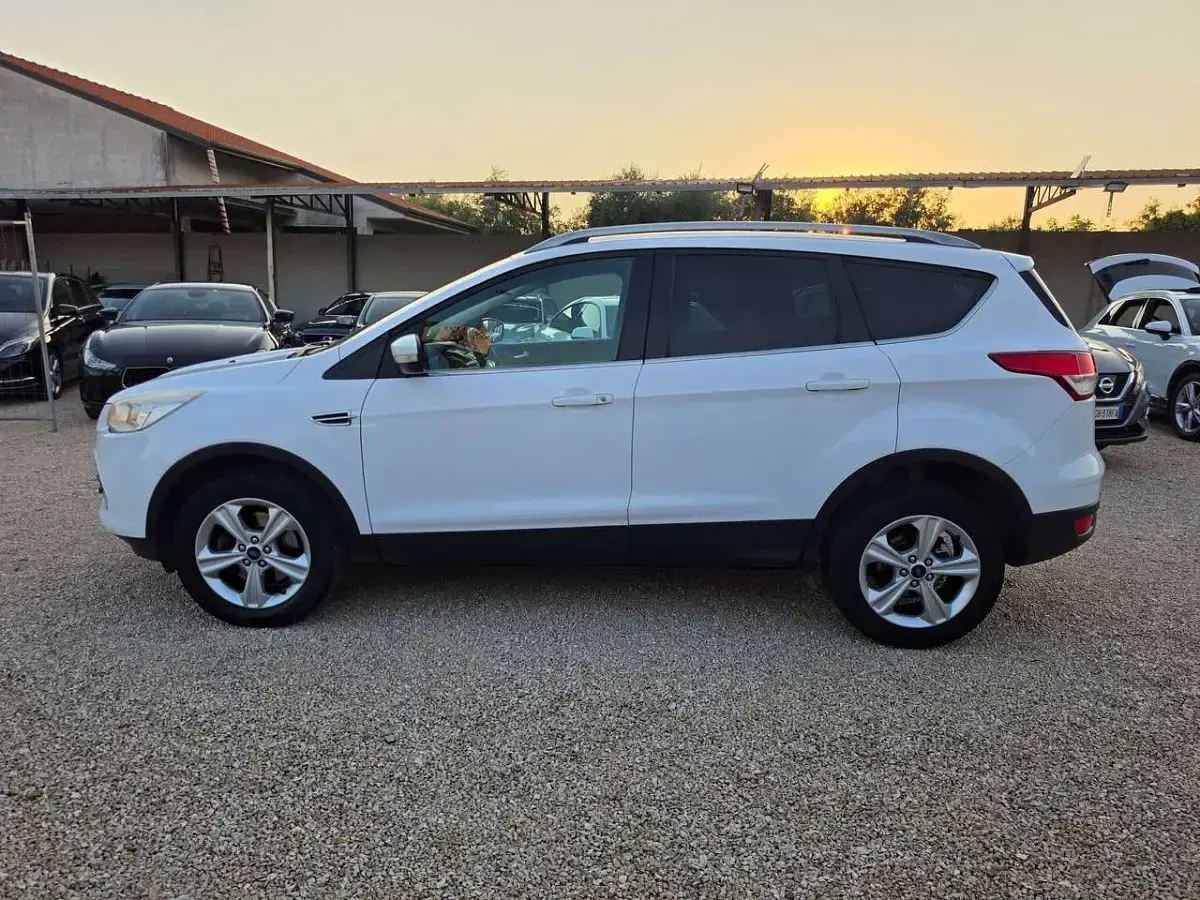 Usata Ford Kuga Titanium 150 CV (110 kW) 2015 Bianco SUV