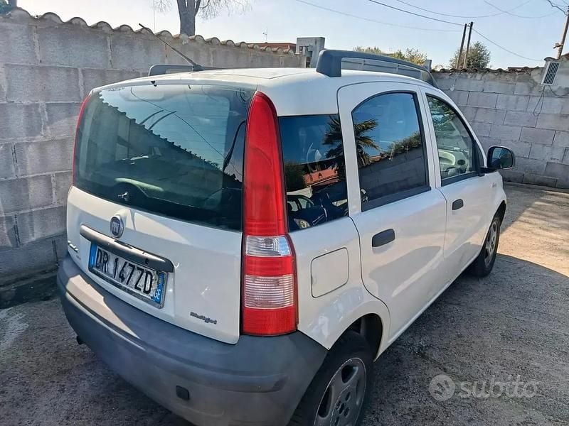 Usata Fiat Panda Dynamic 70 CV (51 kW) 2008 Bianco Utilitaria