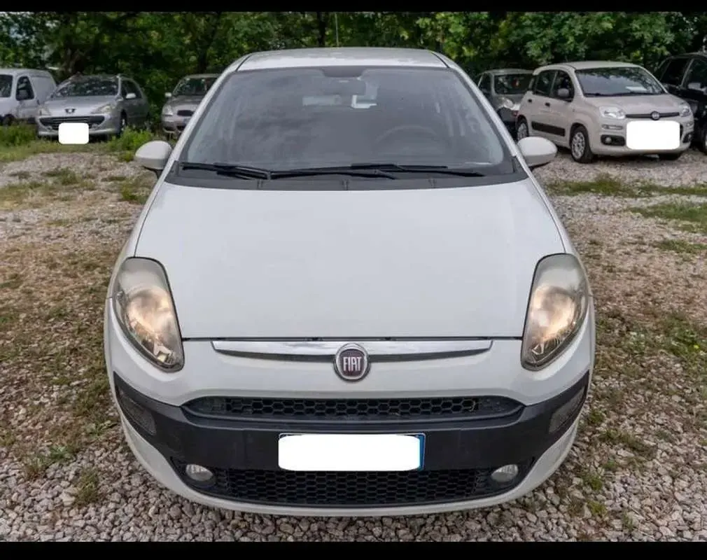 Usata Fiat Punto 80 CV (58 kW) 2011 Bianco Utilitaria