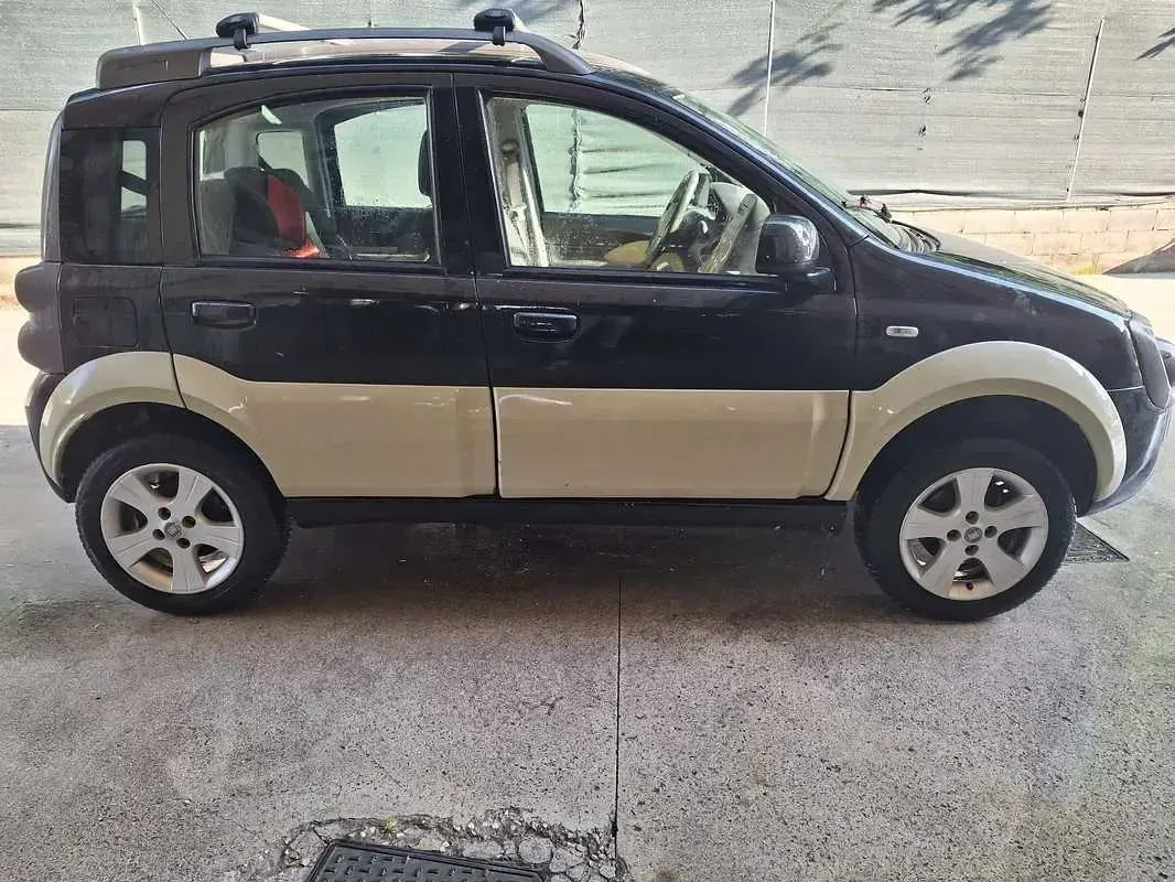 Usata Fiat Panda 4x4 Cross 69 CV (50 kW) 2010 Utilitaria