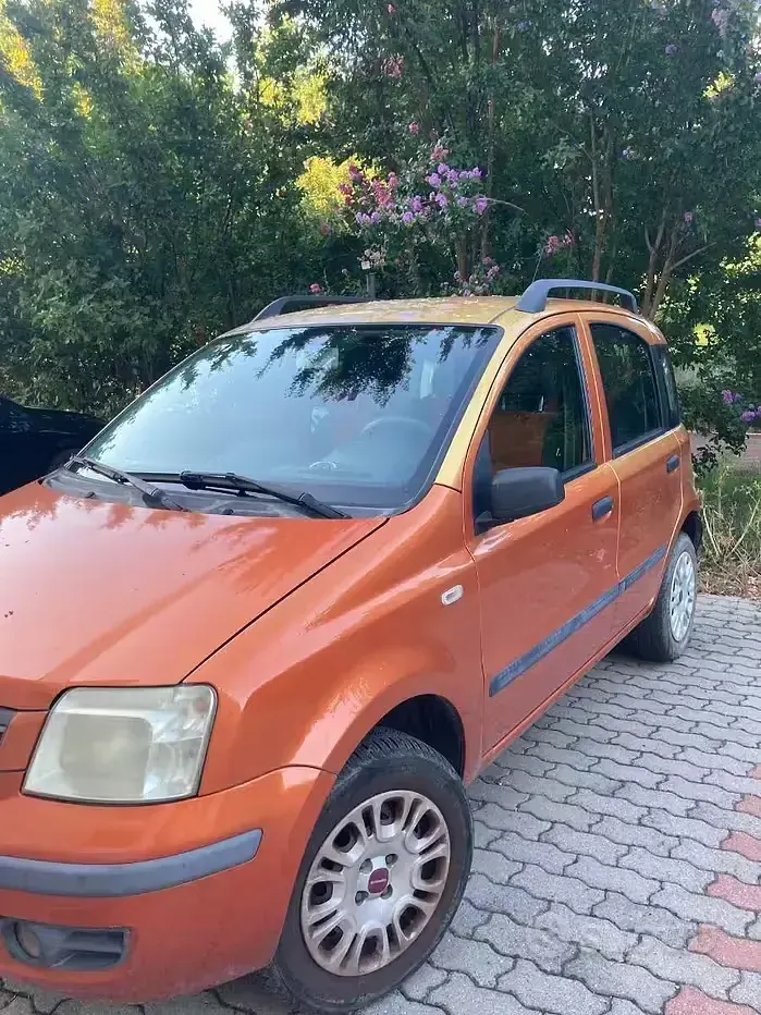 Usata Fiat Panda 60 CV (44 kW) 2009 Arancione Utilitaria