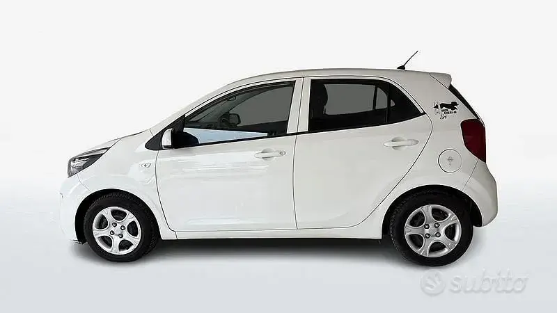 Usado Kia Picanto X-Line 2019 Blanco Utilitario