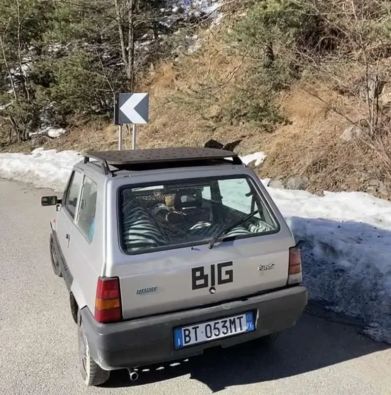 Usata Fiat Panda Young 54 CV (39 kW) 2002 Furgone