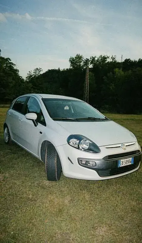 Usata Fiat Punto Evo 65 CV (47 kW) 2010 Bianco Utilitaria