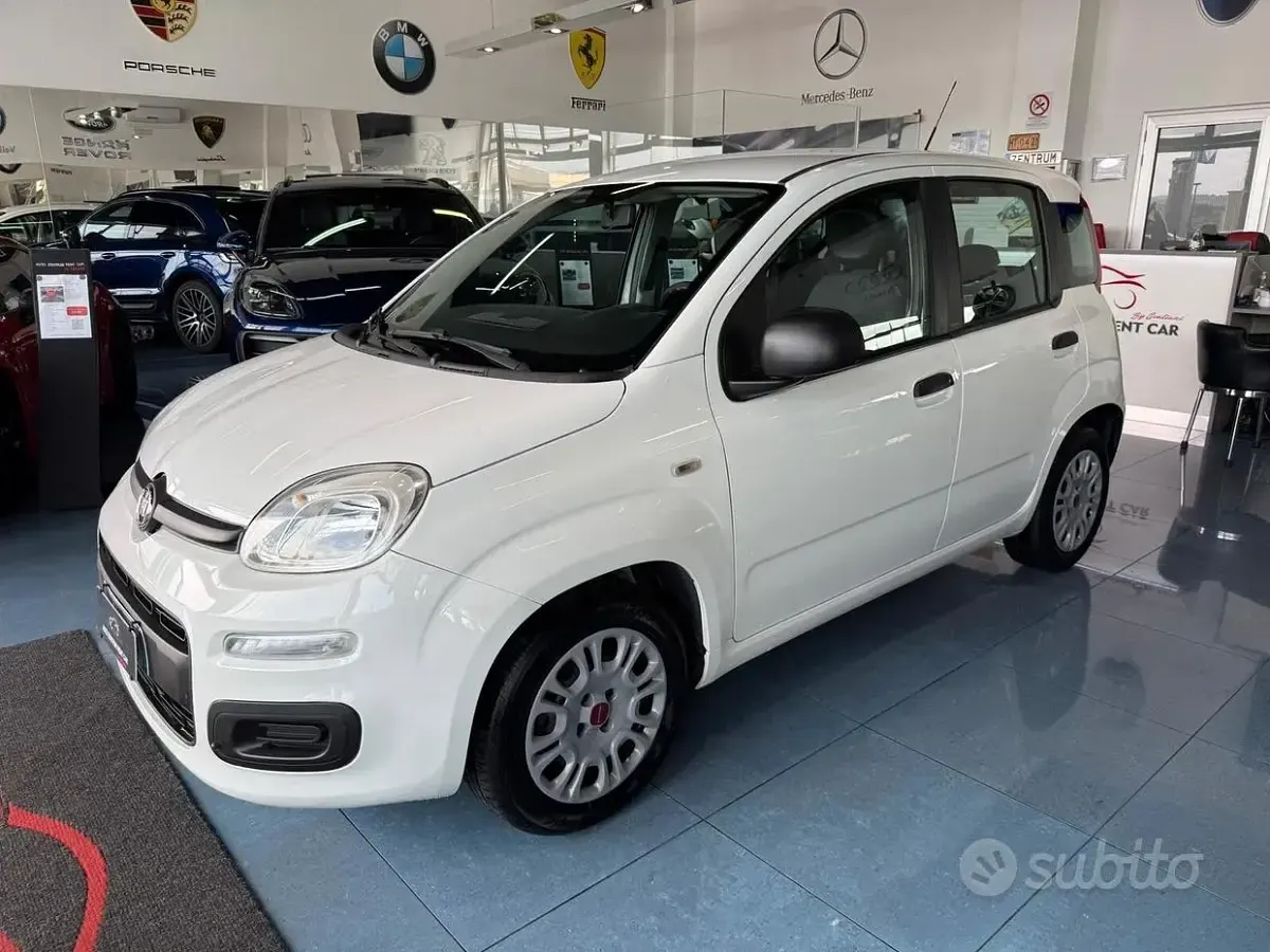 Usata Fiat Panda Lounge 80 CV (58 kW) 2017 Bianco Utilitaria