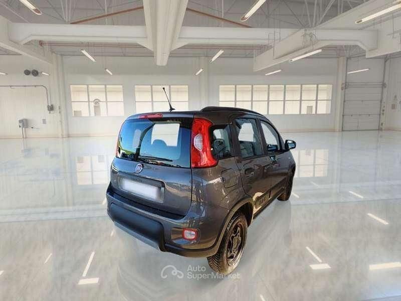 Usata Fiat Panda 4x4 Wild 86 CV (63 kW) 2021 Grigio Utilitaria