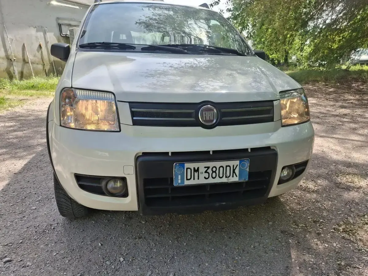 Usata Fiat Panda 4x4 Climbing 75 CV (55 kW) 2008 Utilitaria