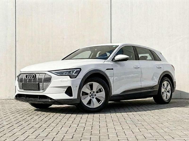 Usata Audi e-tron Ambiente 264 kW (360 CV) 2019 Bianco SUV