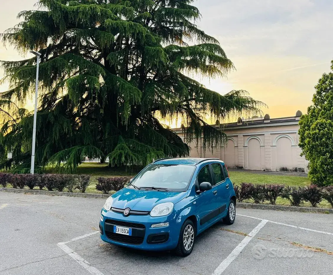 Usata Fiat Panda Lounge 69 CV (50 kW) 2014 Utilitaria