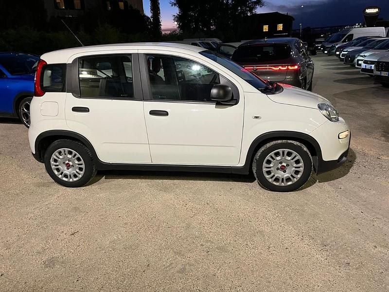 Usata Fiat Panda S 69 CV (50 kW) 2022 Bianco Utilitaria