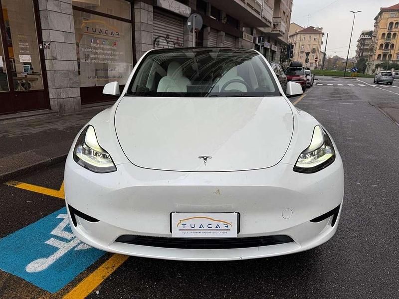 Occasion Tesla Model Y Standard Range 219 kW (299 ch) 2024 Blanc SUV