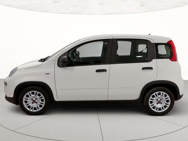 Usata Fiat Panda S 70 CV (51 kW) 2024 Bianco Utilitaria