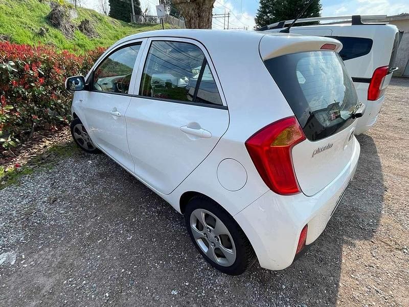 Usata Kia Picanto Active 67 CV (49 kW) 2016 Bianco Utilitaria
