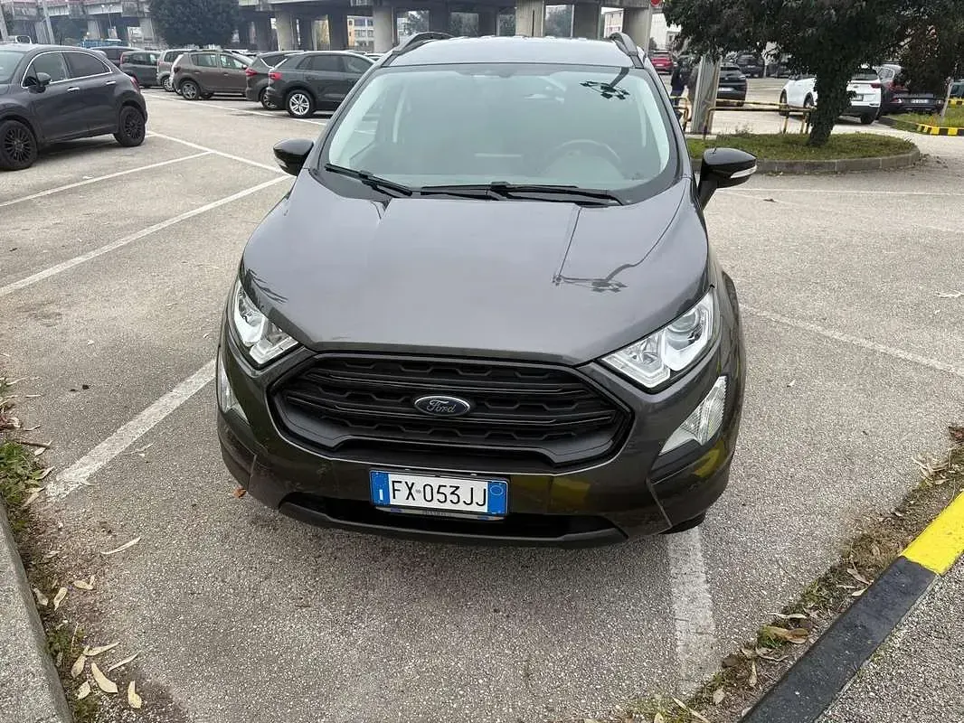 Usata Ford Ecosport Business Edition 99 CV (72 kW) 2019 SUV