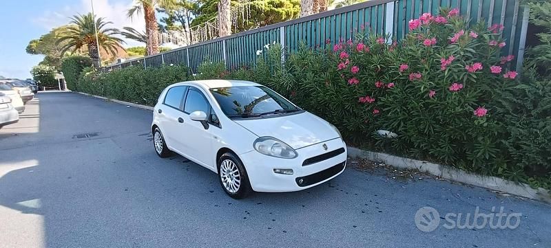 Usata Fiat Punto 75 CV (55 kW) 2014 Bianco Utilitaria