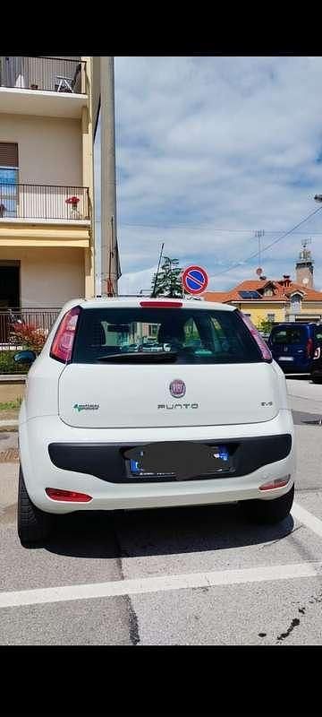 Usata Fiat Punto Evo Active 69 CV (50 kW) 2010 Utilitaria