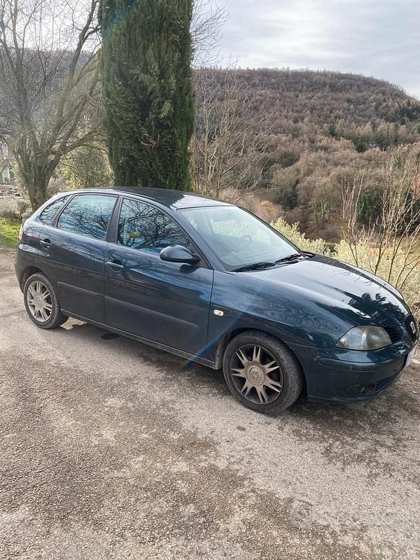 Usata Seat Ibiza 75 CV (55 kW) 2004 Grigio Utilitaria