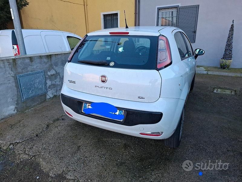 Usata Fiat Punto 2011 Bianco Berlina