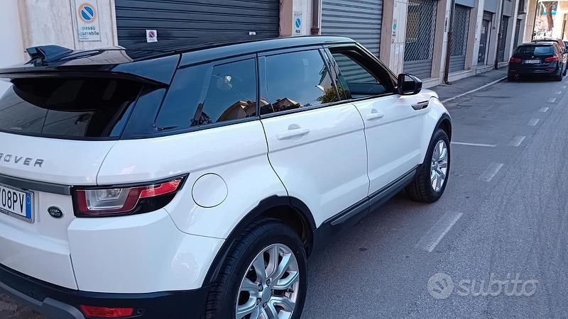 Usata Land Rover Range Rover evoque 150 CV (110 kW) 2016 Bianco SUV